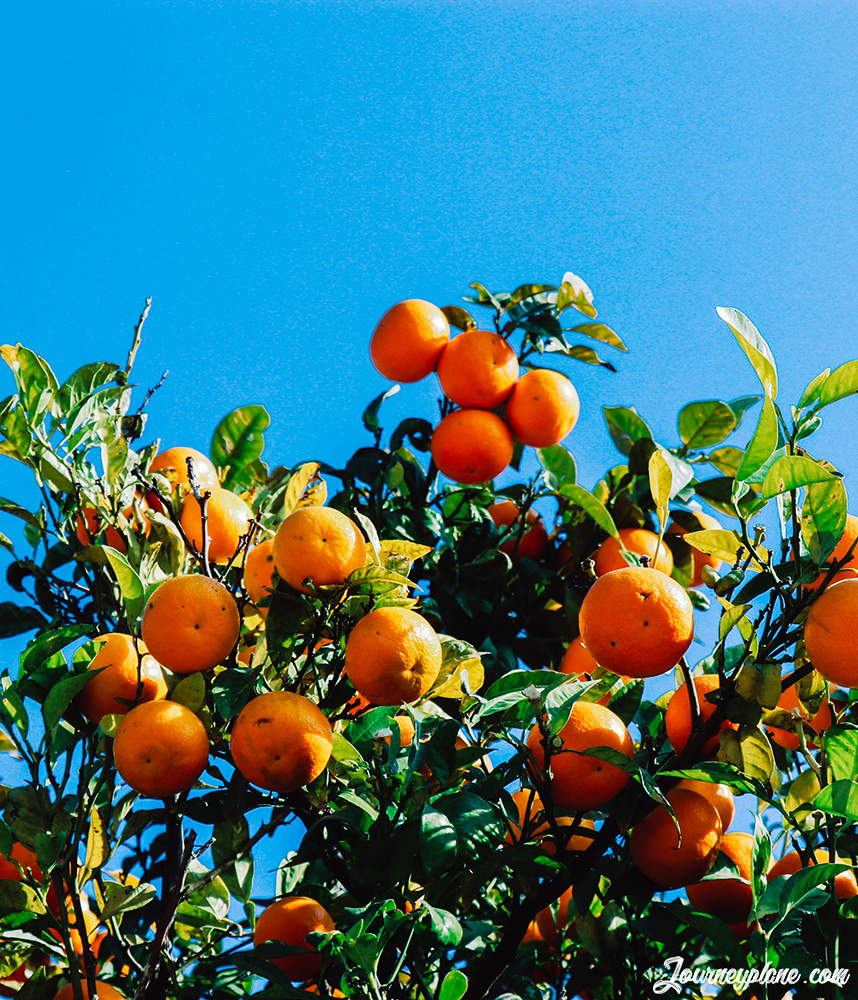 Hot winter destinations: Barcelona