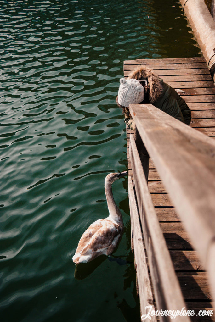 Austria’s most beautiful lakes: Hallstatt and Hallstätter See