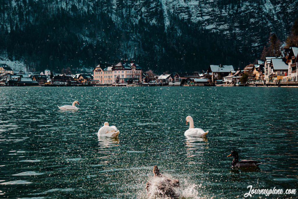 Austria's most beautiful lakes: Hallstatt and Hallstätter See