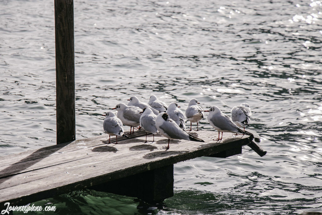 Austria’s most beautiful lakes: Traunsee