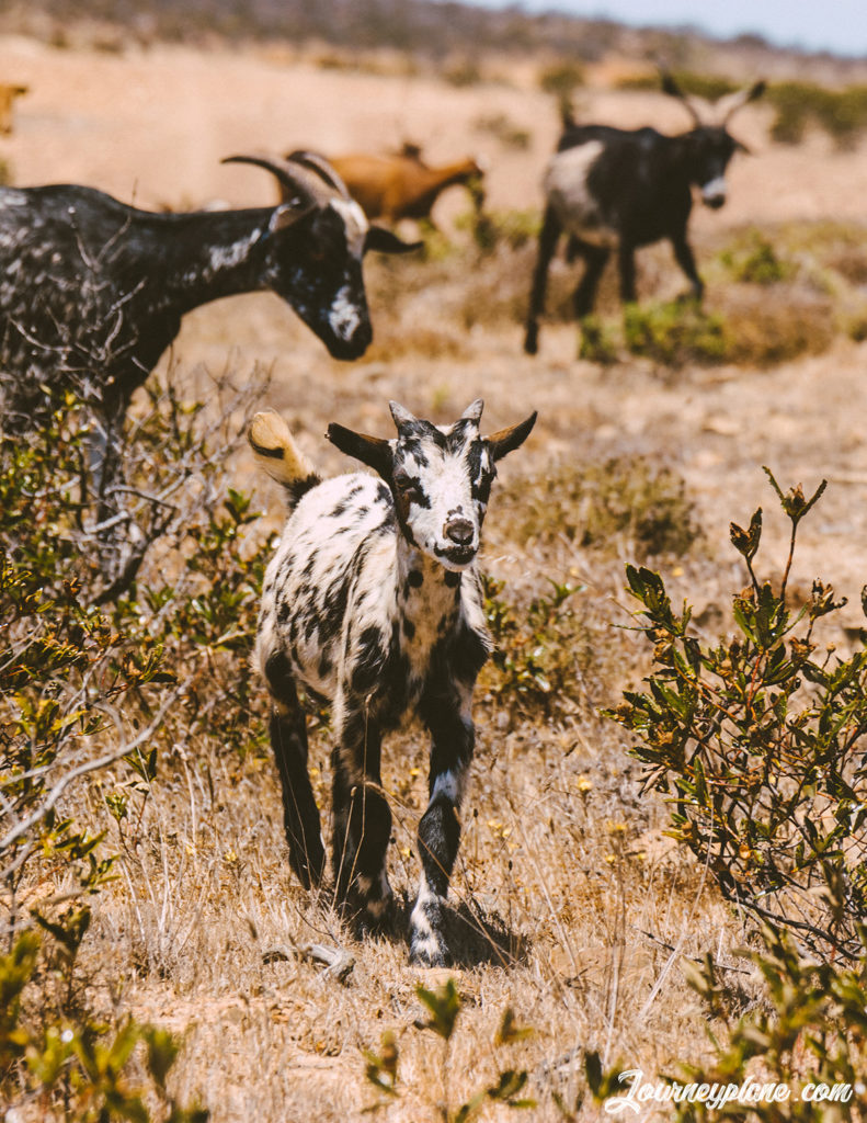 Nature Park in Algarve, Portugal