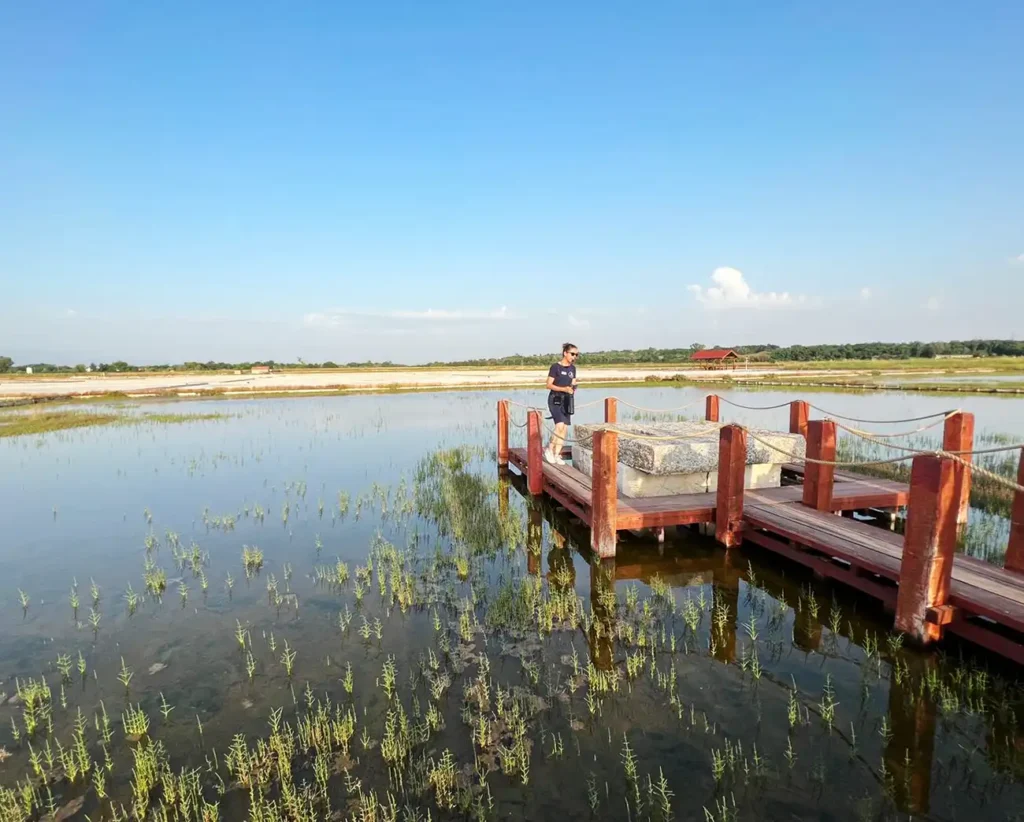 Top 5 Things to do in Nin: Solana Nin Guided tour